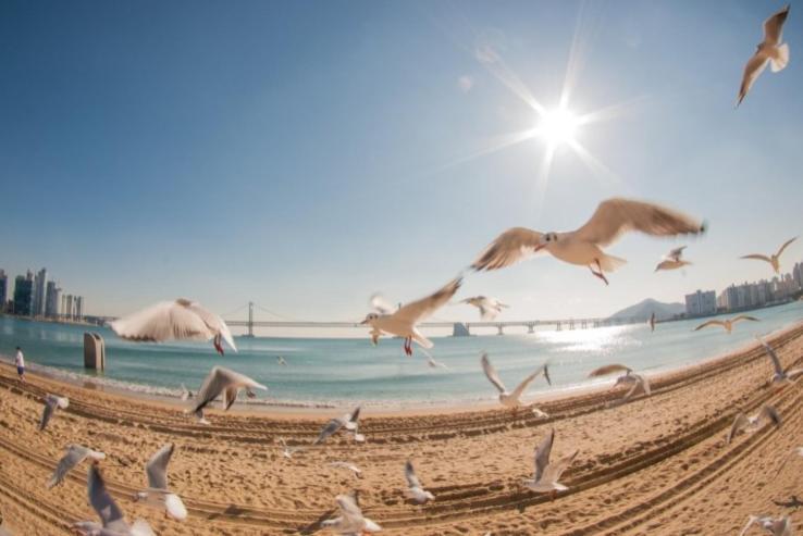 Maritimo Pension Pusan Exteriér fotografie